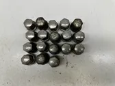 Nuts/bolts