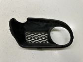 Verkleidung Nebelscheinwerfer / Gitter vorne