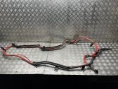 Positive wiring loom