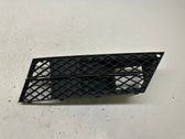 Front bumper lower grill