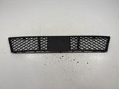 Front bumper lower grill