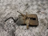 Takajarrusatula