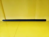 Front door trim (molding)