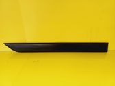 Rear door trim (molding)