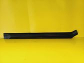 Rear door trim (molding)