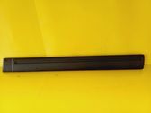 Front door trim (molding)