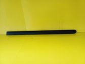 Rear door trim (molding)