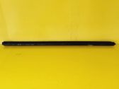 Rear door glass trim molding