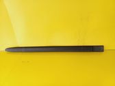 Rear door trim (molding)