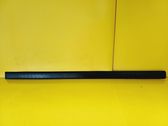 Front door trim (molding)