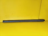 Rear door trim (molding)