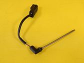 Interior temperature sensor