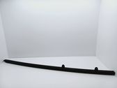 Door glass rail