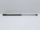 Tailgate/trunk strut/damper