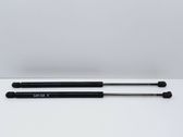 Tailgate/trunk strut/damper