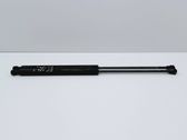 Tailgate/trunk strut/damper