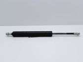 Tailgate/trunk strut/damper