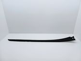 Windshield trim