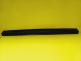 Rear door trim (molding)