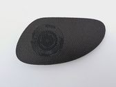 Front door speaker
