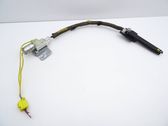 Seat belt adjustment motor