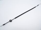 Línea de cable puerta delantera