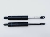 Tailgate/trunk strut/damper