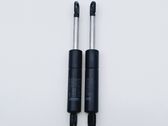 Tailgate/trunk strut/damper