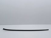 Windshield trim