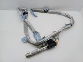 Roof airbag
