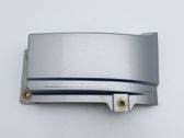 Rear/tail light trim molding