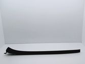 Windshield trim