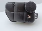 Coolant expansion tank/reservoir