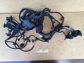 Faisceau de câblage pour moteur