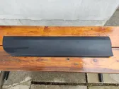 Rear door trim (molding)