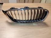 Front bumper upper radiator grill