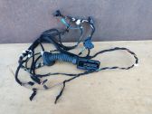Front door wiring loom
