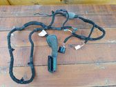 Rear door wiring loom
