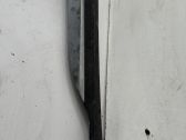 Listón embellecedor de la puerta delantera (moldura)