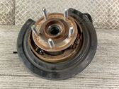 Other rear suspension part