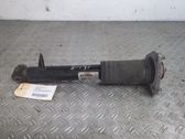 Stoßdämpfer hinten