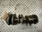 Vilebrequin du moteur