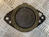 Panel speaker