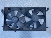 Electric radiator cooling fan