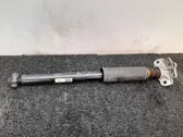 Rear shock absorber with coil spring