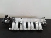 Intake manifold