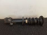 Front shock absorber with coil spring