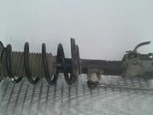 Front shock absorber with coil spring