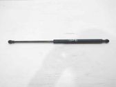 Front bonnet/hood damper/strut