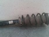 Amortiguador delantero con muelle espiral